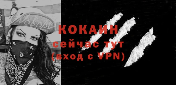 дмт Богородицк